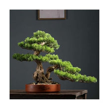 YXIANG56Q Fake Plants High-end Simulation Greenery Bonsai Ornaments Hotel Decorative Simulation Tree Entrance Living Room Potted Plants Landscaping Bonsai Tree, yuqing2022