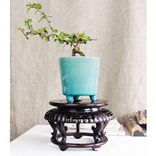 Heavy-Duty Potted Plant Standing Supports Wooden Vase Base Solid Wood Round Display Stands Indoor Living Room Bonsai Potted Fish Tank Base Ornaments Decoration Plant Container Base (Size : 7.28in) ( )