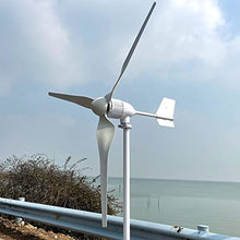 NINILADY 3000W 48V Wind Turbine Generator with Hybrid MPPT Controller 3KW Permanent Magnet Generator for Homeuse 3 Blades Free Energy Windmill (with MPPT Controller)