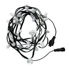 AMNOUR 1000pcs 50ct/100ct LB1908 IC RGB Bullet Flat Gumdrop Pixel String Light DC12V 18AWG Black 3Pin 10cm Wire IP68(1000 Pixels 50ct,XConnect Pigtails)