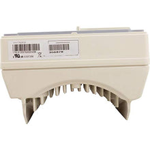 Pentair 356878Z Swimming-Pool-Pump-Accessories