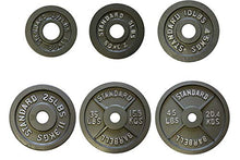 Ader Sporting Goods Olympic Plates 255 Lb Set Gray