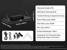 Board LED Grow Light Full Spectrum Phyto Lamp for Greenhouse Growing Indoor Plants Vegetables Growth(200W)