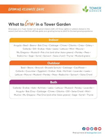 Tower Garden Family Bundle