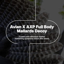 Avian-X AXP Full Body Mallards Decoy 18 Pack Multicolor