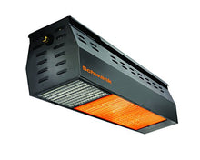 bistroSchwank 35K BTU Patio Heater in Stainless Steel/Black - NG