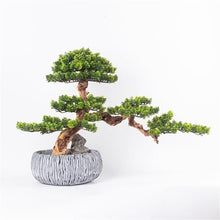 YXIANG56Q Fake Plants Artificial Bonsai Tree Faux Potted Plant Desk Display Fake Pot Ornaments for Office Decoration Bonsai Tree