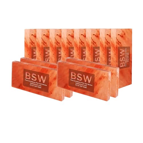 Bulk Himalayan Pink Salt Tiles 8x4x1 Natural Salt Blocks for Building Salt Room, Spa Walls, Sauna Therapy, Wellness Centers & Home Décor (50)