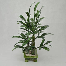 Dntum Artificial Bonsai Tree Natural Jade Bonsai Wealthy Bamboo and Jade Ornaments Bonsai for Home Office Shop Zen Decoration Decor Simulation Bonsai Trees
