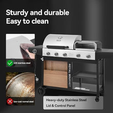 Grills House ZH3004S Premium Gas Grill and Pizza Oven Combo Silver & Black
