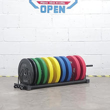 VEITEOX FTY Weight Plate Storage Rack with Handle and Wheels