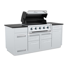 Broil King 886714 Regal S 520 5-Burner Built-In Propane Gas Grill Head