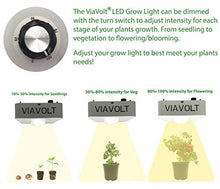 Viavolt Grow Light, 6500K Full Spectrum, Cree COB LED, 65 Watts,12,000 Lumens