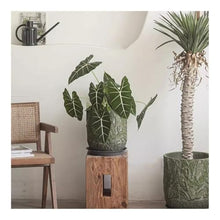 WOAITIANTIAN Flower Pots Garden Large Calibre Round Flower Pot with Cactus Pattern Concrete Planter