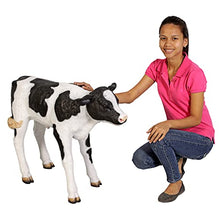 Design Toscano Buttercup Life Size Holstein Calf Dairy Cow Statue Full Color