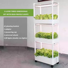 MTSYXYM Herb Garden kit,hydroponic Growing Kits & Systems,Hydroponics Tower with LED Grow Light,Indoor Garden hydroponic Growing System,for Herbs, Fruits and Vegetables. (Size : Three Layer)