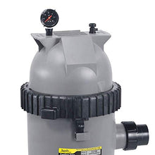 Jandy CS200 Cartridge Filter
