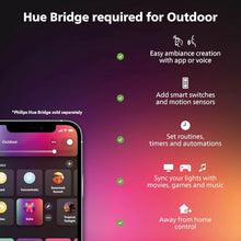 Philips Hue Festavia Globe Outdoor String Lights, 32 Bulbs, 91ft