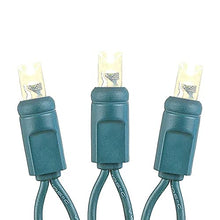 Novelty Lights Coaxial 24 Pack 25 Feet 50 Warm White LED Christmas String, Commercial Grade Green Wire, Waterproof Connections, Modular Product Line, Connect 43 Sets