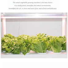 MTSYXYM Herb Garden kit,hydroponic Growing Kits & Systems,Hydroponics Tower with LED Grow Light,Indoor Garden hydroponic Growing System,for Herbs, Fruits and Vegetables. (Size : Three Layer)