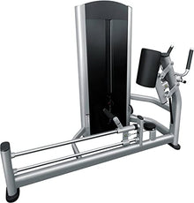French Fitness FFS Silver Glute Machine