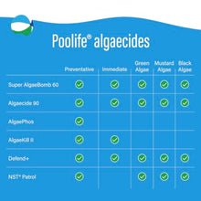 poolife Super Algae Bomb 60 (1 qt) (12 Pack)