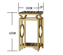 Plant Stand Indoor Outdoor 2-Tier,Metal Plant Shelf for Multiple Plants