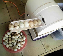 Electric Egg Washing Machine, Egg Surface Cleaning, Chicken Duck Goose Egg Washer Equipment, 2300 Pcs/H Egg Cleaner Wash Machine, for Breeding Farms and Farms