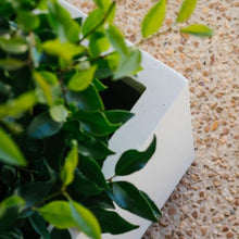 TITAN GREAT OUTDOORS Ash & Ember 15.75" Short Box Satin Ivory Planter, Lightweight Fiberstone with Weather-Resistant Finish, Modern Rectangle Planter Box for Indoor and Outdoor Plants