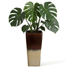 Emissary Home and Garden Tall 15 in. Cream/Java Ceramic Square Planter (15 in. L x 15 in. W x 35 in. H) with Drainage Hole