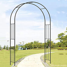 SDdPulse Rose Arches Steel Frame, Wedding Arch, Garden Arbor Iron Arches, for Wedding Bridal Party Climbing Plants Support Structure, 1.2M to 3M,Black-120×240Cm (Black 260×240cm)
