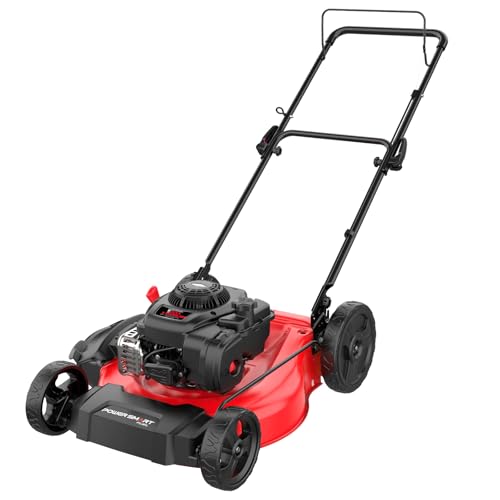 PowerSmart 21 in. Gas Lawn Mower with 125cc Briggs and Stratton E300 Engine, 2-in-1 Push Mower with Mulching & Side-Discharge, 6-Point Height of Cut