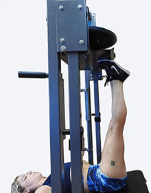 TDS Vertical Premier Leg Press Mc Grey
