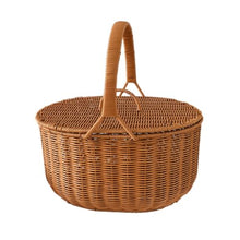 OOAYDYWO Rattan-like Iron Rack Basket, Plastic Rattan Flower, Shopping