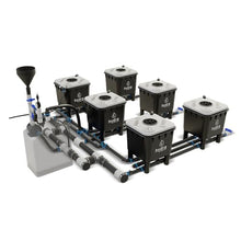 Hydramax Professional Deep Water Culture Systems for Growing Fruits, Veggies, and Medicinal Herbs; Everything You Need to Start Your hydroponic Garden Journey (3 Row - 6 Bucket)