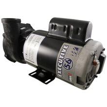 Waterway Executive 56 Spa Pump 3HP 2-Speed 230V 60HZ ME-30226-20