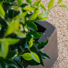 TITAN GREAT OUTDOORS Ash & Ember 15.75" Short Box Charcoal Planter, Lightweight Fiberstone with Weather-Resistant Finish, Modern Rectangle Planter Box for Indoor and Outdoor Plants