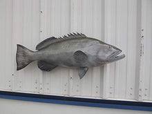 Mount This Fish Company 38" Gag Grouper Wall Mount Fish Replica Trophy Natural