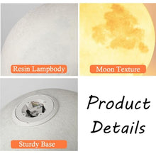 SJENG Waterproof Moon Lamp with Resin Lampbody,Wiring Powered Globe Shape Outdoor Light,Unique Lighting for Staircase Swimming Pool and Yard(Wiring Powered-19.68in)