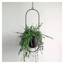 A1DFDFGOQSFG Iron Hanging Flower Pot Decorative Swinging Flower Basket Wall Hanging Flower Pot Decorative Hanging Basket Wall Mount for Home (Size : C) ()