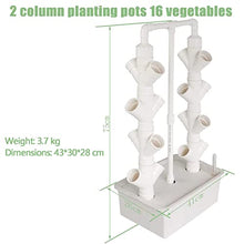 BEESOM Garden Hydroponic Growing System Vertical Tower, 2/3/4 Columns Hydroponic Growing Kit, Vegetable Plant Tower Gift for Gardening Lover - Home Grow Lettuce,Herbs,Veggies & Fruit,16Holes