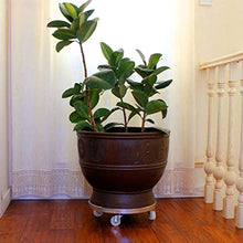 QUANGJN Plant Caddy with Wheels Heavy Duty,440Lb Capacity, Rolling Plant Stand, Planter Caddies Round Large Flower Pot Mover Plant Dolly Holder Planter Trolley Cas,Black-40cm/16in