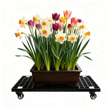 Jidanmian Heavy Duty Metal Plant Caddy with Wheels, 440-992lbs Capacity, Mobile Plant Stand with Brakes, for Indoor and Outdoor, Yards, Gardens, Balconie, Black(77x50cm)