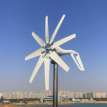 HUIZHITENGDA 1000W Wind Turbine Generator, with MPPT Charge Controller Power Magnetic Dynamo Free Energy Windmill Home Use, 12V 24V 48V,48v