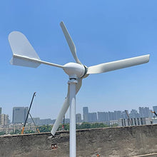 OLONETO 800W 12V 48V 24V Horizontal Wind Generator Kit with MPPT Controller Alternative Energy Generator Free Energy Windmill (Color : 48v)