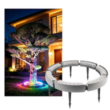 KPHYMOD Low Voltage Ring Tree Lights Outdoor Weatherproof AC24V RGB Color Changing Round Plant Uplight for Garden Yard Commercial Landscape Lighting(7 Packs)