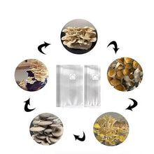 DYKWSWYX 50/100PCS Polypropylene Mushroom Grow Bags 0.2μm Filter Breathable 0.06mm Thick High Temp Garden Substrate Bags(100PCS,390x500x0.06mm)