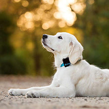 Tractive 3G GPS Dog Tracker Black