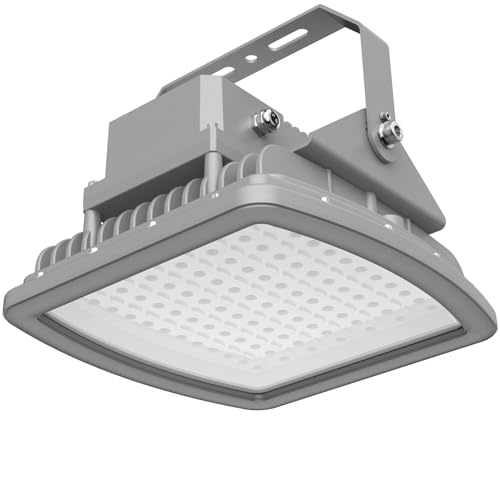 100W LED Explosion Proof Flood Light, 13000LM 5000K, Class I Division 2
