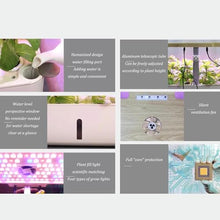 FLTRGO Indoor Gardening System,Aeroponics Growing Kit,Indoor Garden Hydroponic Growing System,hydroponic Indoor Garden,with Hydrating Pump, Adapter, Net Pots, Timer.